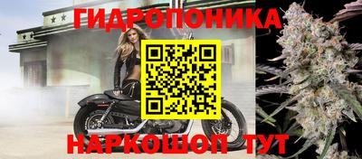 гидра Кунгур