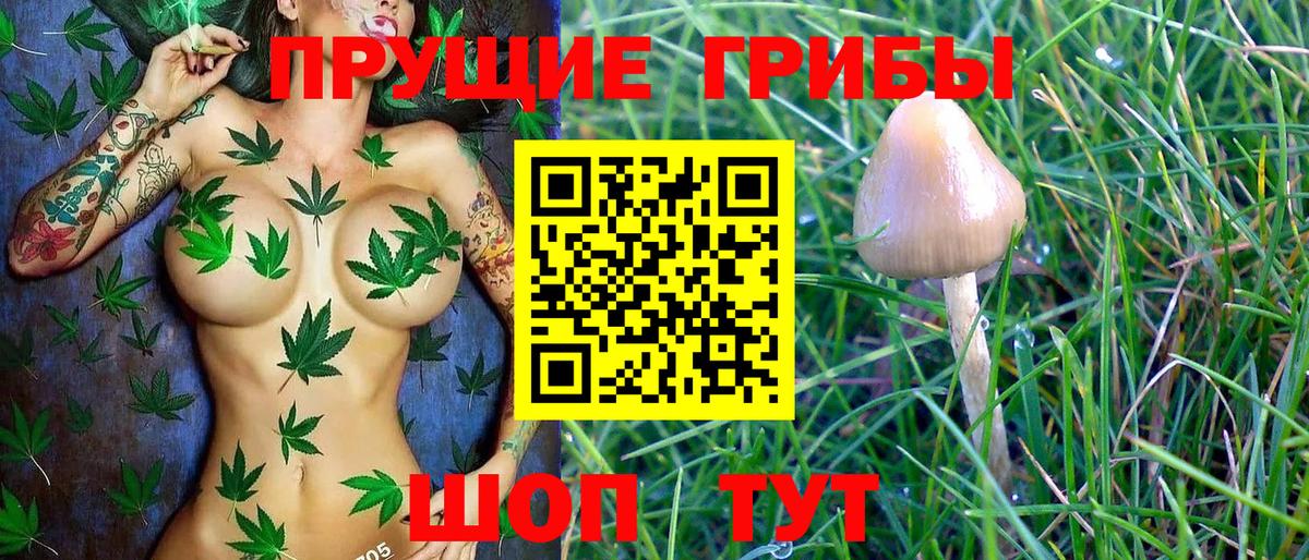 Галлюциногенные грибы ЛСД  Вход с VPN  Псилоцибиновые грибы MAGIC MUSHROOMS  Камень-на-Оби 