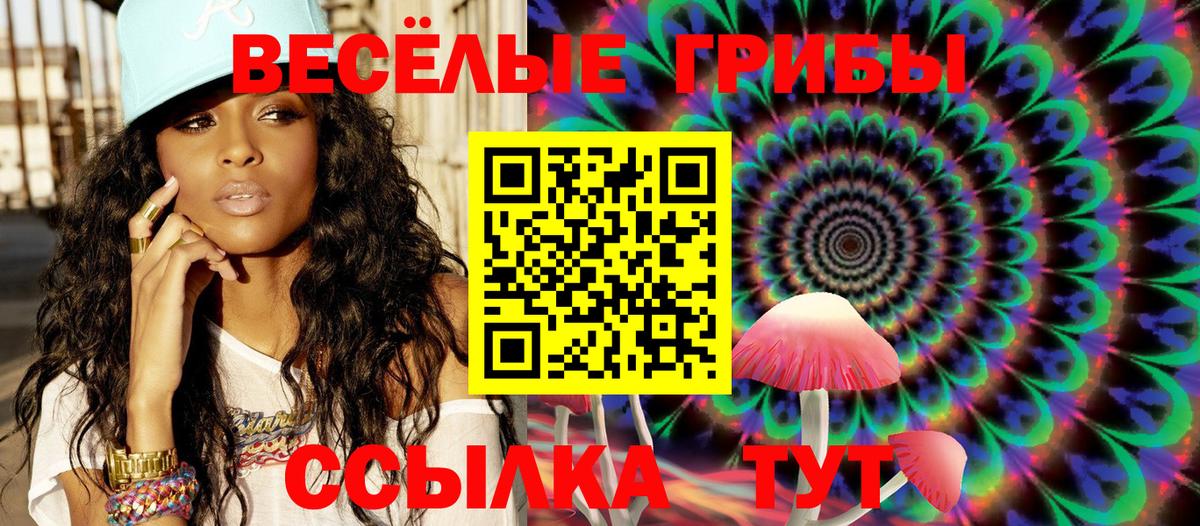 Псилоцибиновые грибы Magic Shrooms Камень-на-Оби